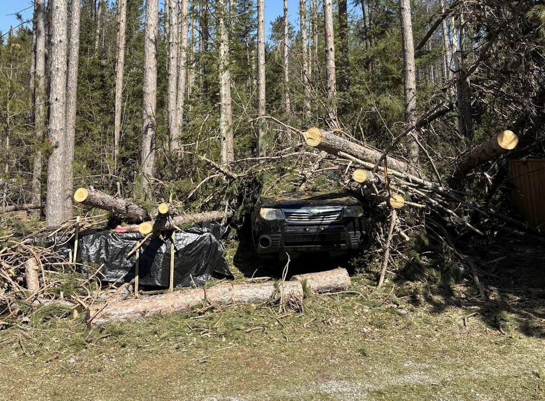 Chainsaw Operations